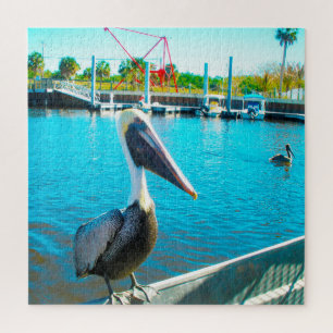 Pelican Florida Legpuzzel