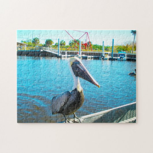 Pelican Florida Legpuzzel (Horizontaal)