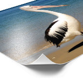 Pelican Foto Afdruk (Hoek)