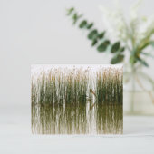 Pelican Hideout Briefkaart (Staand voorkant)