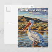 Pelican in Antelope Island State Park Utah Briefkaart (Voorkant / Achterkant)