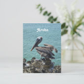 Pelican in Aruba Briefkaart (Staand voorkant)