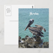Pelican in Aruba Briefkaart (Voorkant / Achterkant)