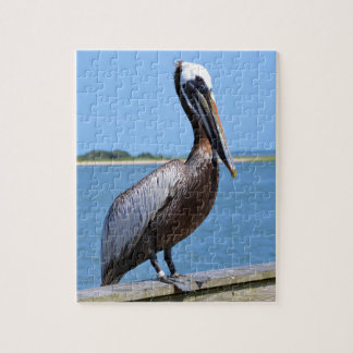 Pelican in Southport Legpuzzel