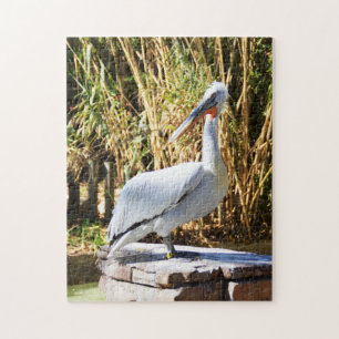 Pelican Legpuzzel