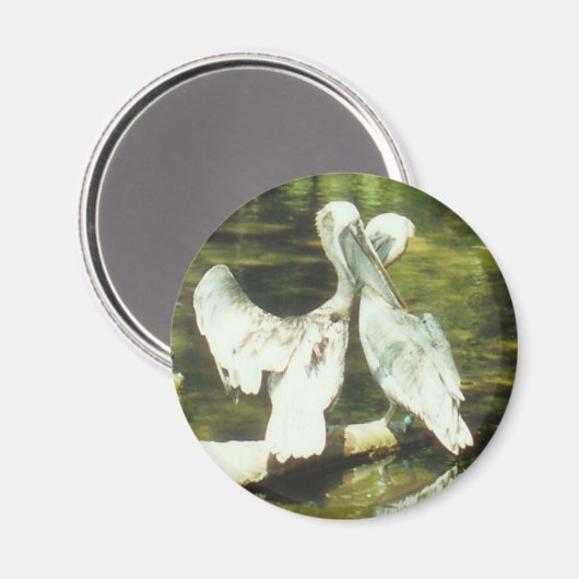 PELICAN LOVE - aimant (Recto/Verso)