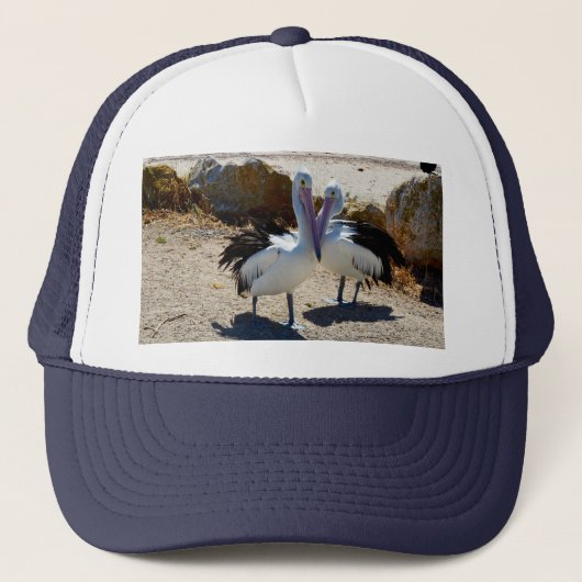 Pelican Love, Casquette (Devant)