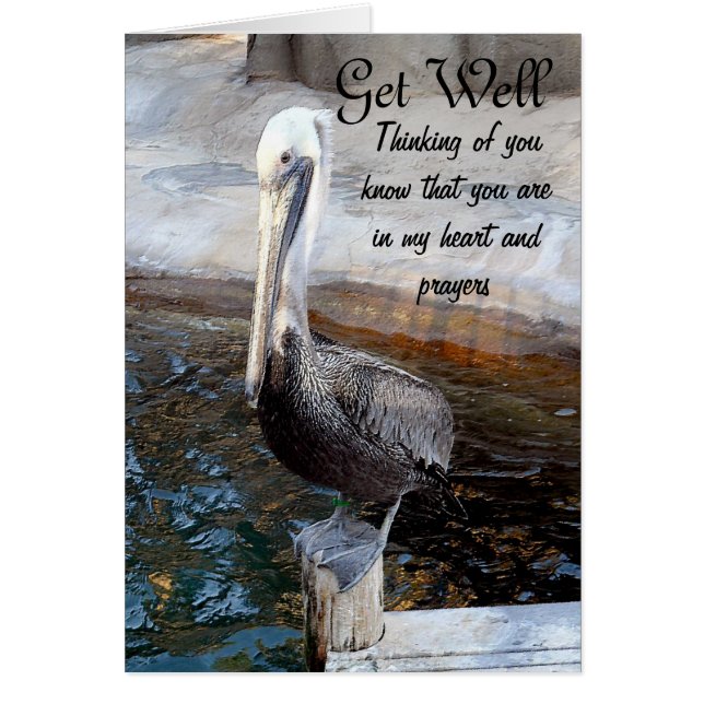 Pelican Love-Occasions_ (Voorkant)