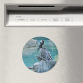 Pelican Magneet (Insitu (Vaatwasser))