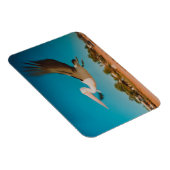 Pelican Magneet (Rechterzijde)