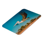 Pelican Magneet (Linkerzijde)