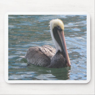 Pelican Muismat