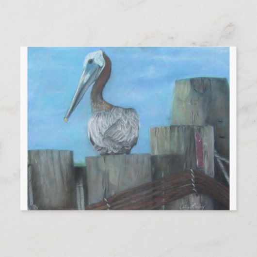 Pelican of Hatteras Ferry Briefkaart (Voorkant)