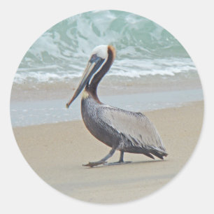 Pelican on Outer Banks OBX NC Ronde Sticker