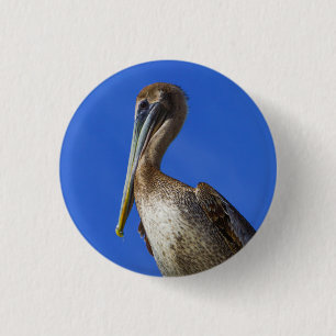 Pelican op een ledemaatknop ronde button 3,2 cm