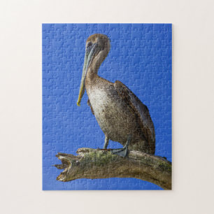 Pelican op een ledemaatpuzzel legpuzzel