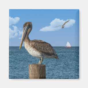 Pelican op een Post Magnet Magneet