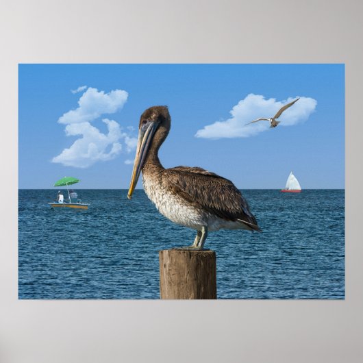 Pelican op een Post Print of Poser (Voorkant)