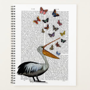Pelican & Papillons