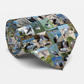 Pelican Photo Collage Stropdas (Opgerold)