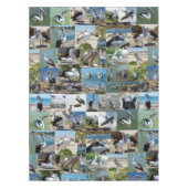 Pelican Photo Collage Tafelkleed (Voorkant)