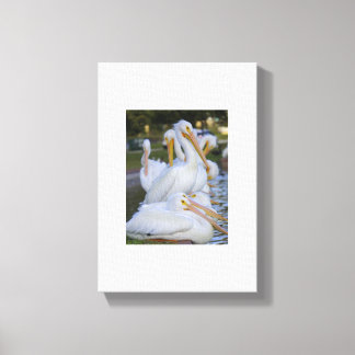 Pelican Pile Art Canvas Afdruk