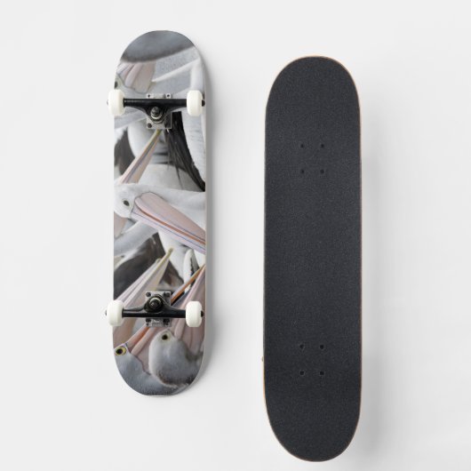 Pelican Pod Skateboard (Voorkant)