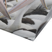 Pelican Pod Snijplank (Hoek)