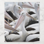 Pelican Pod Wijn Etiket (Enkel label)