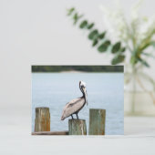 Pelican postcard briefkaart (Staand voorkant)