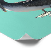 Pelican Poster (Hoek)