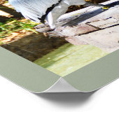 Pelican Poster (Hoek)