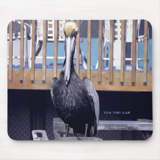 Pelican Power Muismat (Voorkant)