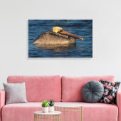 Pélican repose dans la toile d'eau Imprimer (Insitu(Salon))