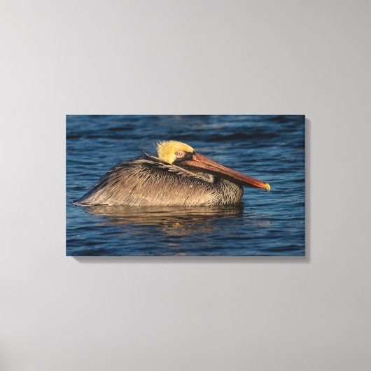 Pélican repose dans la toile d'eau Imprimer (Recto)