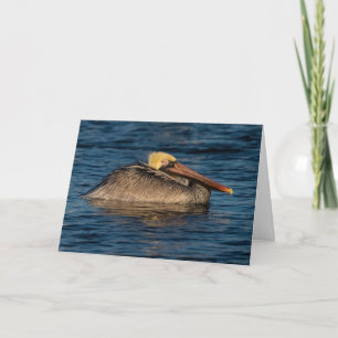 Pelican Resting in Water Wenskaart Kaart