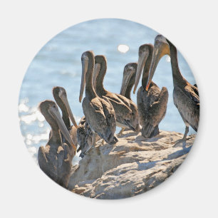 Pelican Rock Magneet