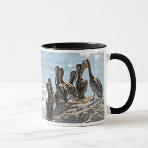 Pelican Rock Mok