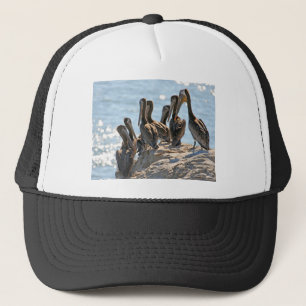 Pelican Rock Trucker Pet