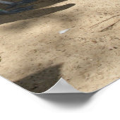 Pélican Sanctuaire, Poster (Coin)