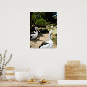 Pélican Sanctuaire, Poster (Cuisine)