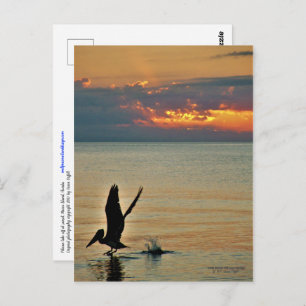 Pelican start op zonsondergang Golfkust Florida Briefkaart