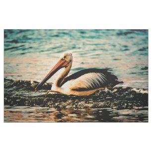 Pelican Stof
