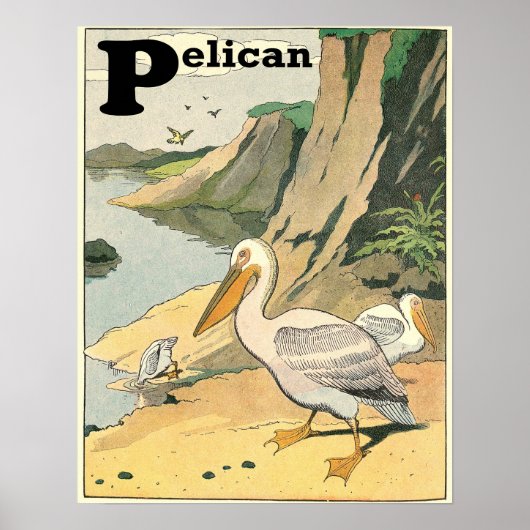 Pelican Story Book Alphabet Poster (Voorkant)