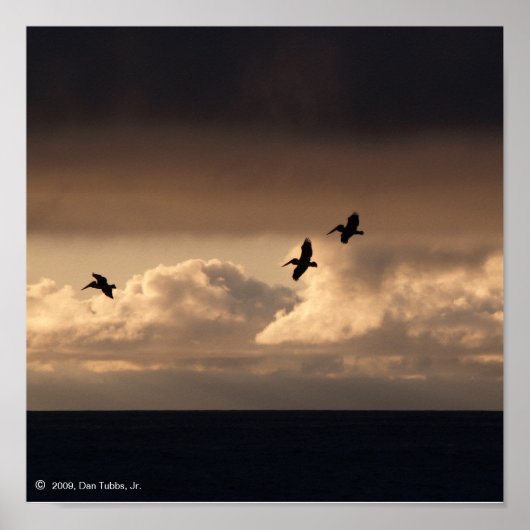 Pelican Sunset Poster (Voorkant)