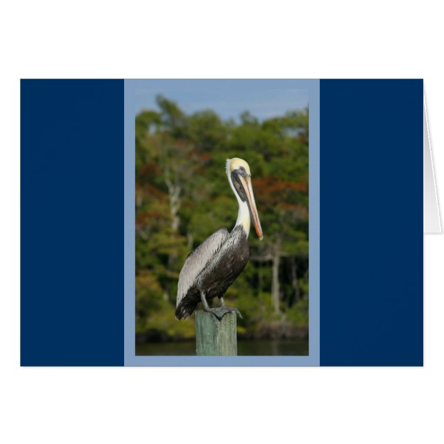 Pelican sur bleu (Devant horizontal)