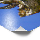 Pélican sur un membre photo imprimé (Coin)