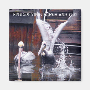 Pelican Takeoff Magneet