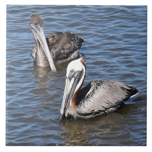 Pelican Tegeltje (Voorkant)
