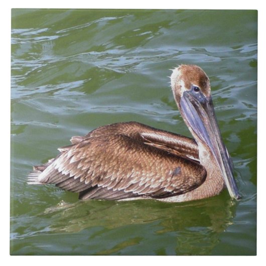 Pelican Tegeltje (Voorkant)
